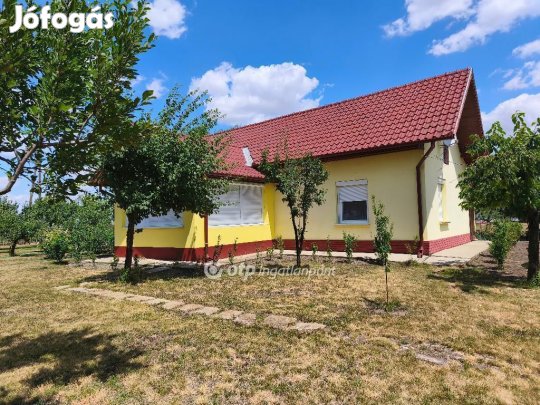 Székkutasi 80 nm-es ház eladó