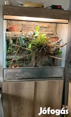 Szekrényes terrárium - nagy méretű