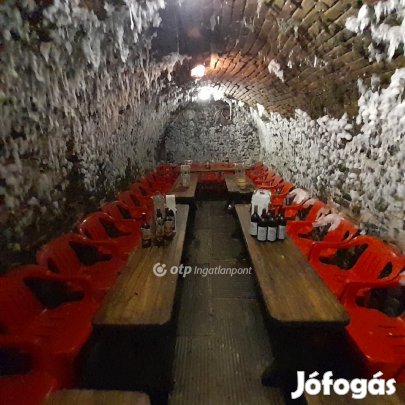 Szekszárd - Palánki - hegyen üzemelő borozó - Pub - eladó!