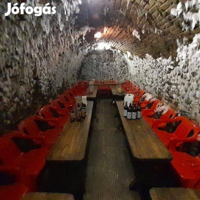 Szekszárd - üzemelő borozó, termő szőlő 2975 nm területen eladó !
