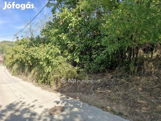 Szekszárdi 2873 nm-es telek eladó