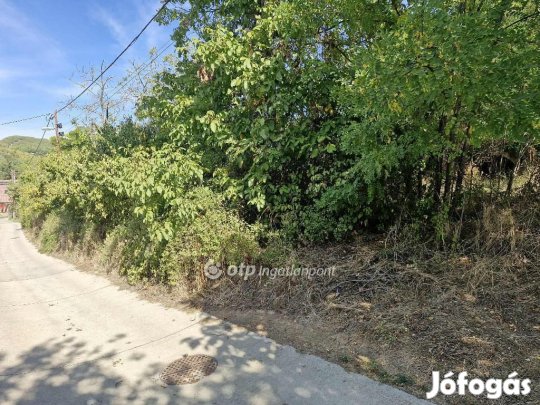 Szekszárdi eladó 2873 nm-es telek