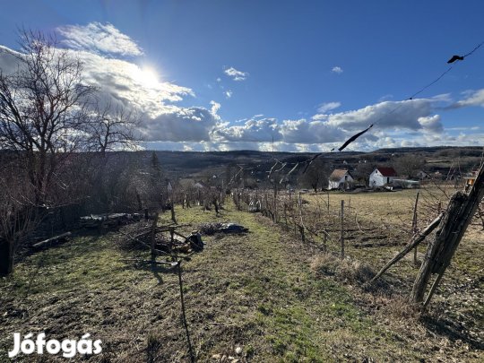 Szekszárdi eladó mezőgazdasági ingatlan