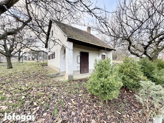 Szekszárdi eladó tégla tanya