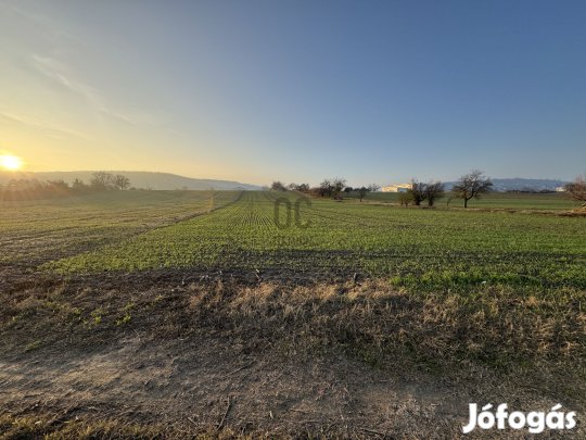 Szekszárdi eladó telek
