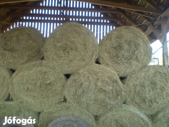Széna kiváló minőségű