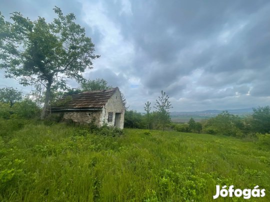 Szent György-hegyen eladó telek kis présházzal