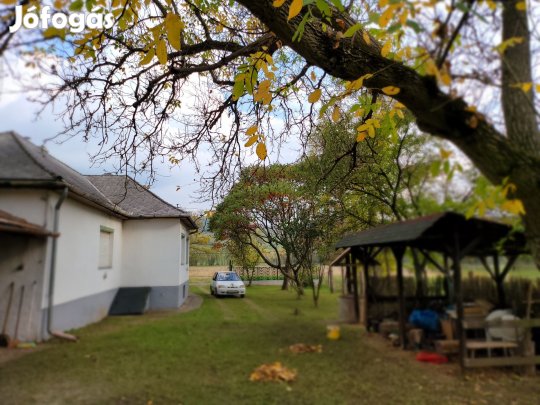 Szentdomonkosi  96 nm-es  családi ház akácossal, nagy kerttel eladó.