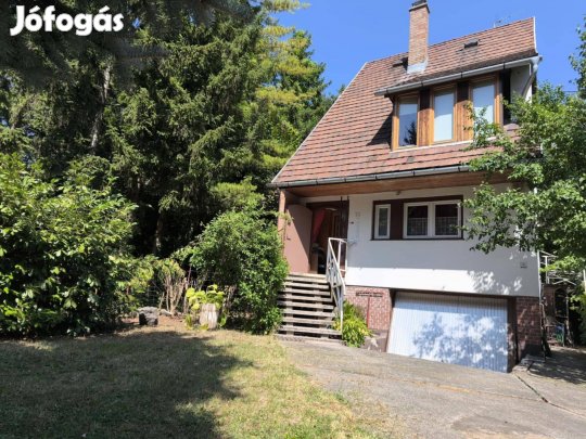 Szentendre eladó családi ház Bükkösparton 160 nm