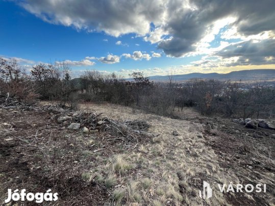 Szentendrei panoráma!