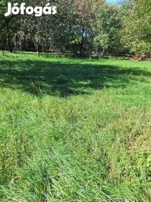 Szentes Kurca parti telek