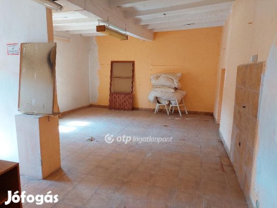 Szentesi eladó 200 nm-es ház