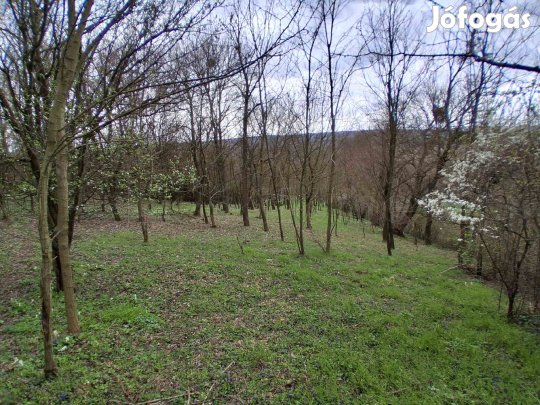 Szentgyörgyvár csendes,nyugodt részén telek eladó!