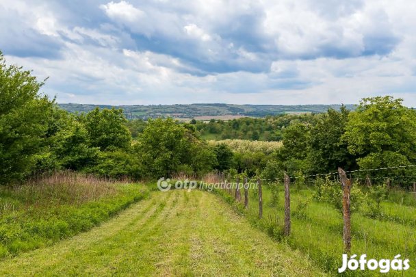 Szentgyörgyvári 4416 nm-es telek eladó