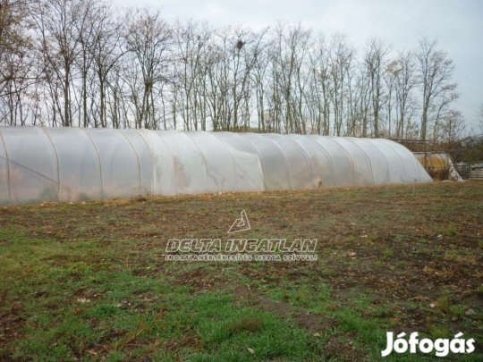 Szentlőrinckátán 993 m2-es építési telek tehermentesen eladó!