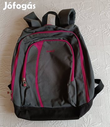 Szép "Budmil" Pink & Szürke Női / Lány / Tinédzser Hátizsák