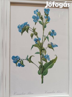 Szép, fehér, rusztikus keretben bájos kék virág 36*26 cm