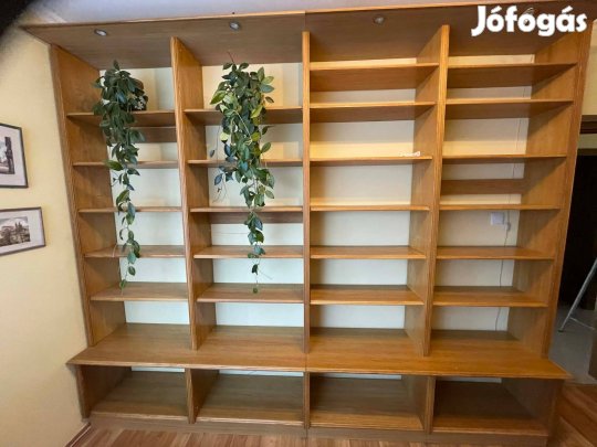 Szép állapotú egyedi könyvespolc