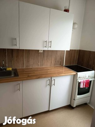 Szép kis fiatalos lakás kiadó Nyíregyházán Örökösföldön
