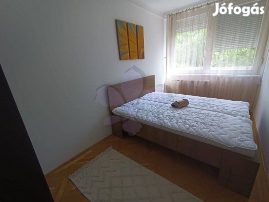 Szép lakás kiadó a belvárosban (Csapó utca)