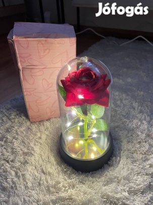 Szépség és a szörny örökrózsa