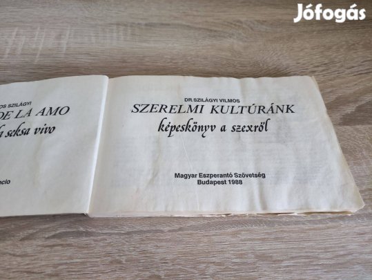 Szerelmi kultúránk képeskönyv kamaszoknak