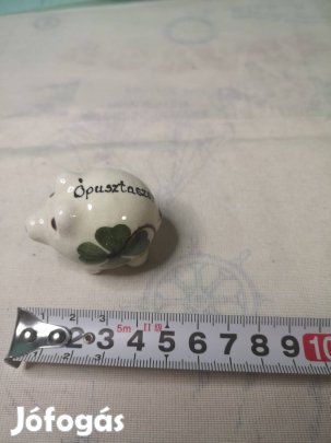 Szerencsemalac Ópusztaszer