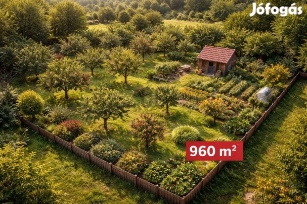 Szeretnél gyümölcsfákat de nincs hova ültetni ? Ez a telek pont alkalm
