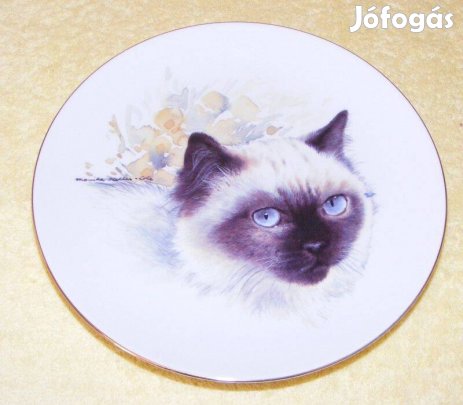 Sziámi cicás porcelán falitányér