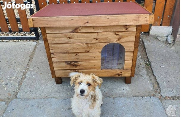 Szigetelt kutyaház S méret