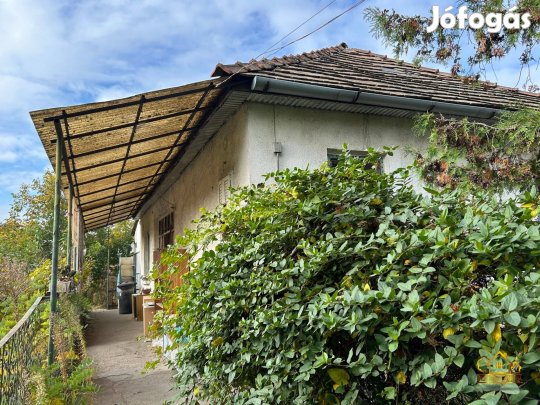 Szigethalmon 1700 m2-es tanya és szántó 2 különálló házzal! 1186