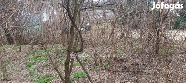 Szigethalomi 1847 nm-es telek eladó
