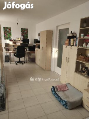 Szigethalomi eladó 120 nm-es lakás