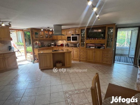 Szigethalomi eladó 385 nm-es ház