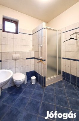 Szigeti úton 270 m2-es családi ház eladó!