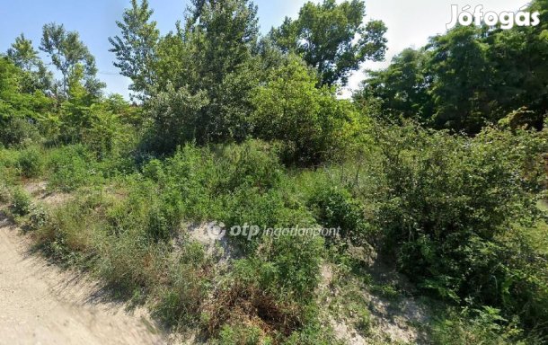 Szigetszentmiklósi 2673 nm-es telek eladó