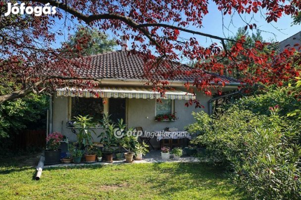 Szigetszentmiklósi eladó 153 nm-es ház