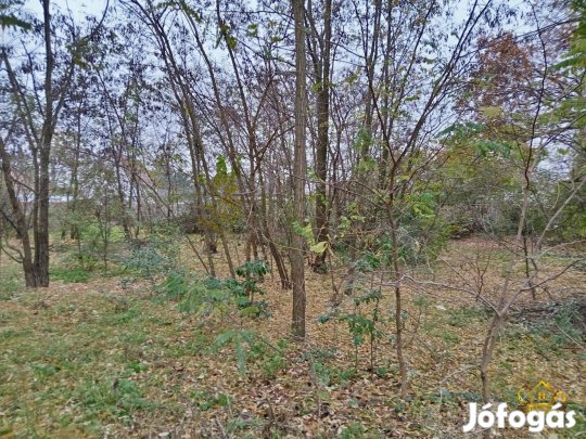 Szigetszentmiklóson 2776 m2-es építési telek! 1101