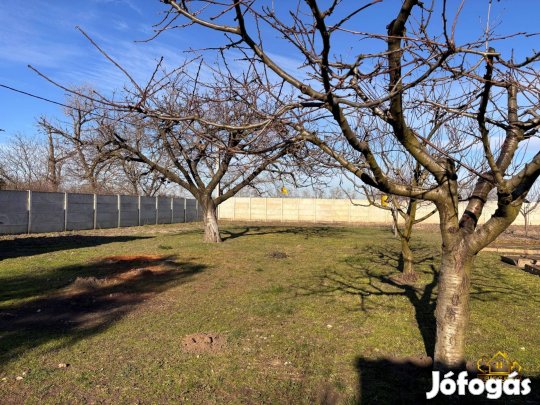 Szigetszentmiklóson gazdálkodásra, állattartásra alkalmas telek! 1217