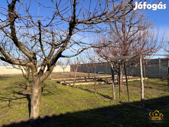 Szigetszentmiklóson gazdálkodásra, állattartásra alkalmas telek! 1218