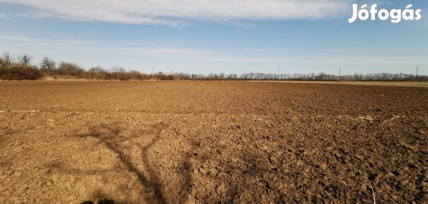 Szilvavölgyben telek eladó