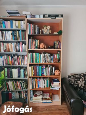 Színes könyvespolc 