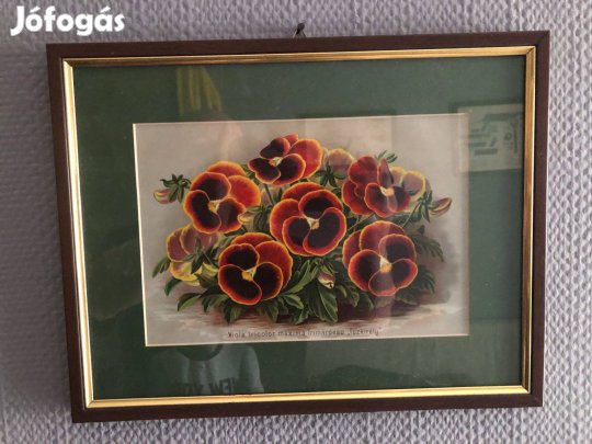 Színes virágnyomat díszes keretben