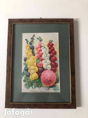 Színes virágnyomat díszes keretben