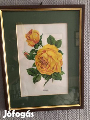 Színes virágnyomat díszes keretben