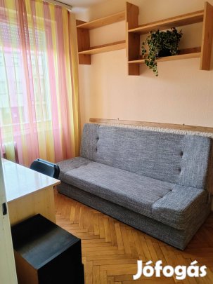 Szoba kiadó Debrecen Csapó utca 78. (Számlaképesen)