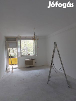 Szobafestést vállalok 