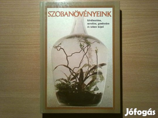 Szobanövényeink kiválasztása, nevelése, gondozása és színes képei