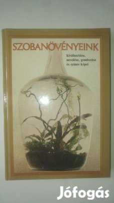 Szobanövényeink kiválasztása, nevelése, gondozása és színes képei