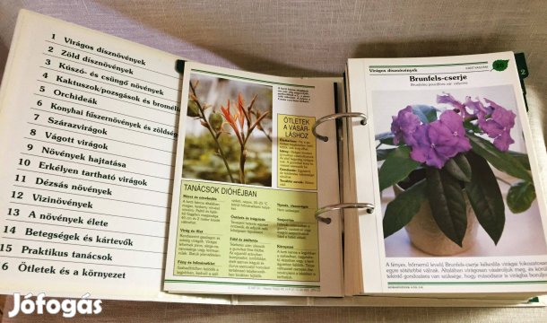 Szobanövények A-tól Z-ig 964 dupla lapon